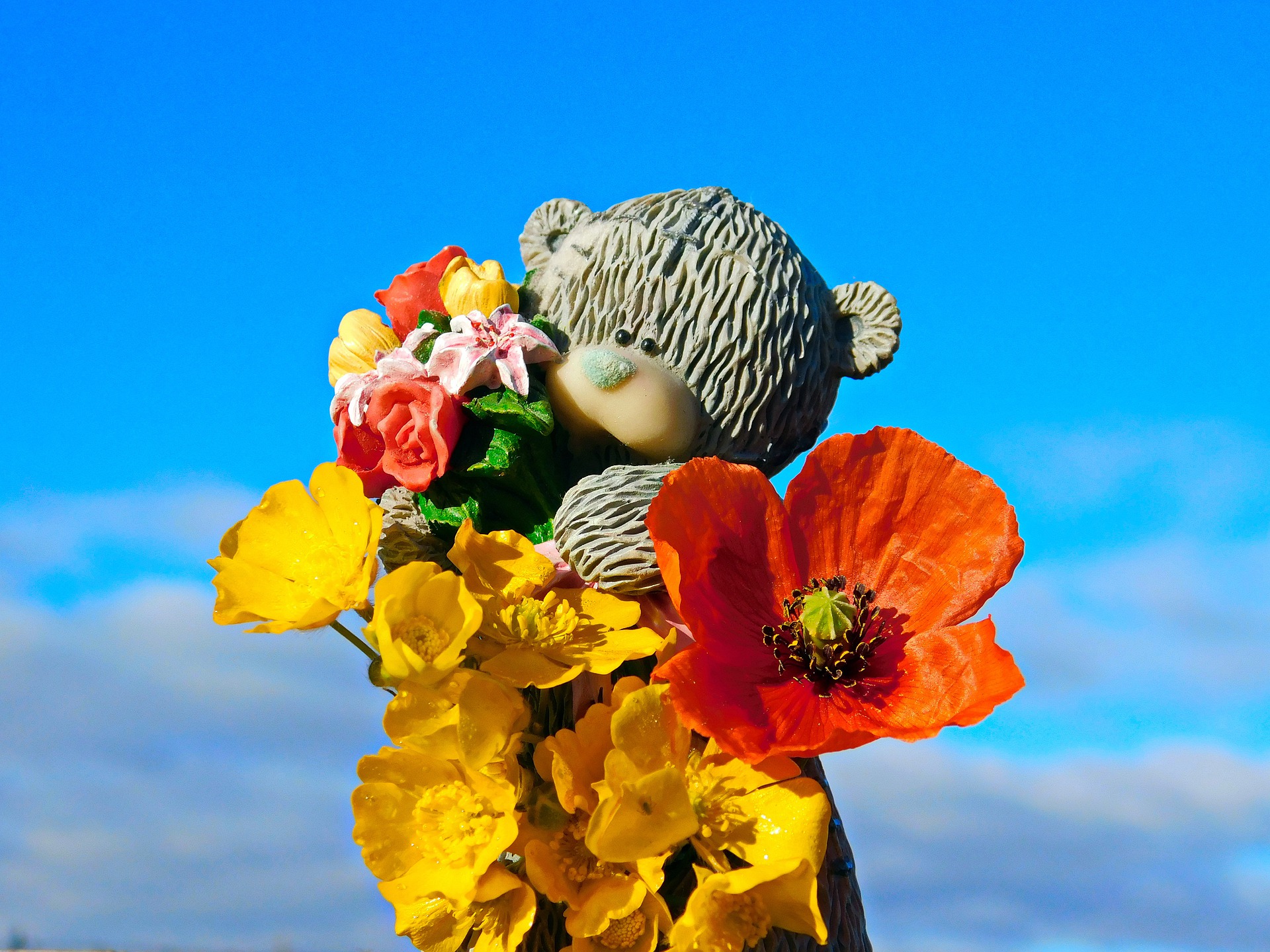 urso flores