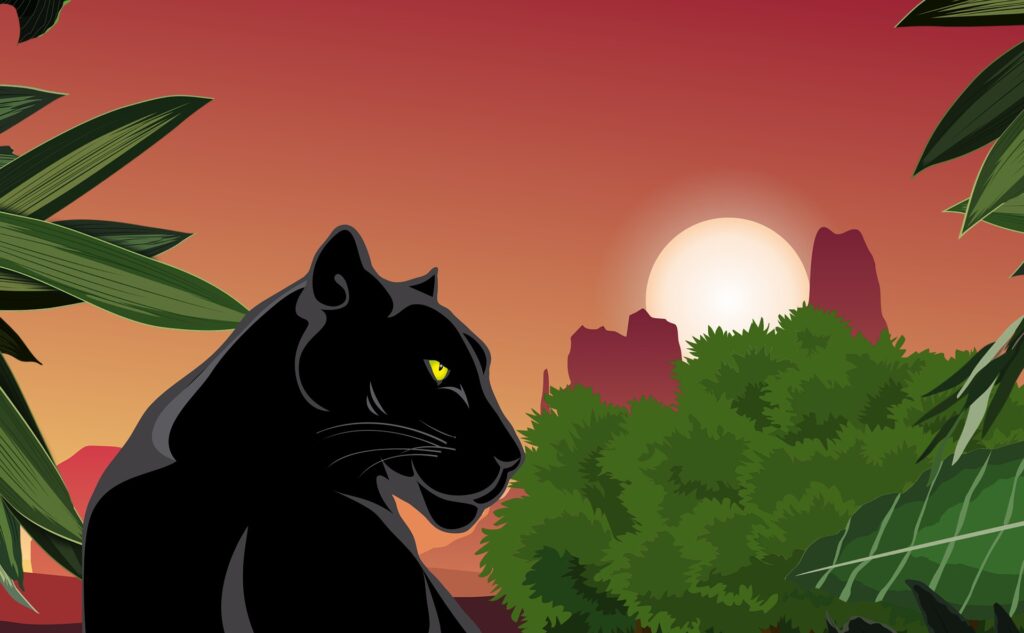 Pantera negra
