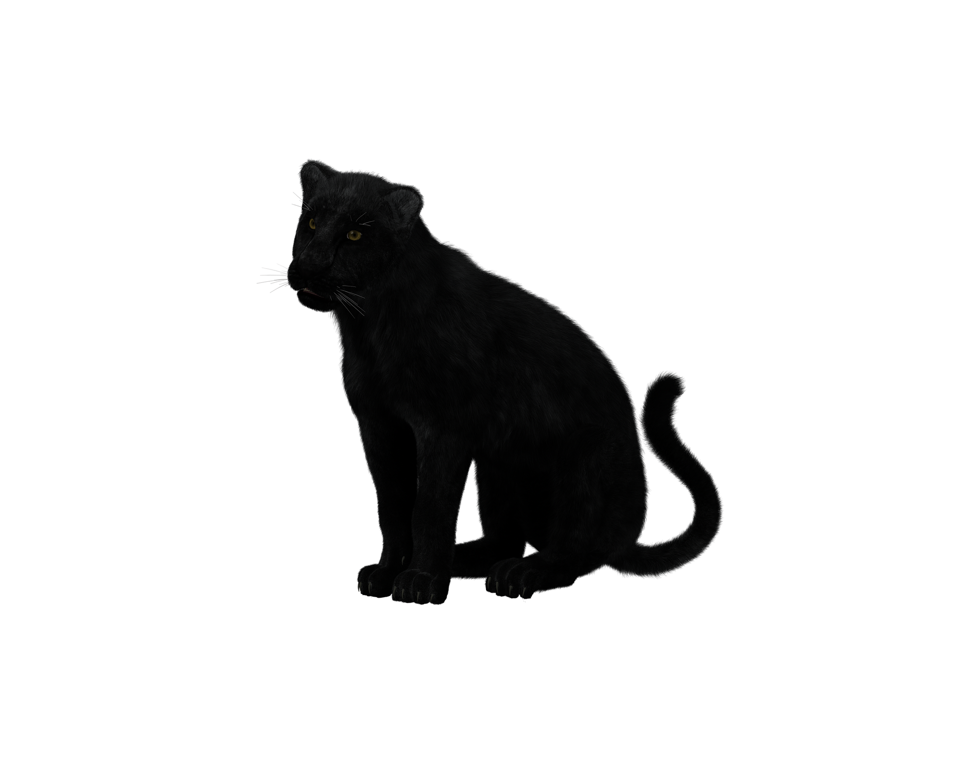 Pantera Negra