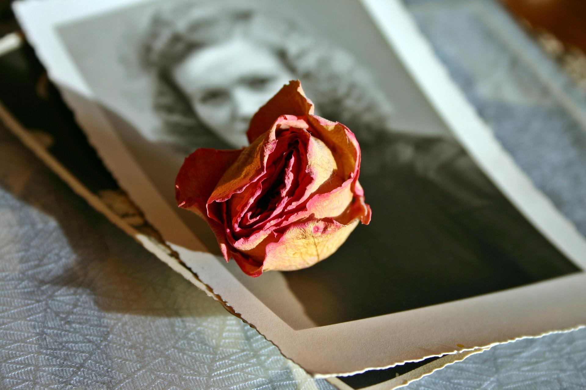 retrato